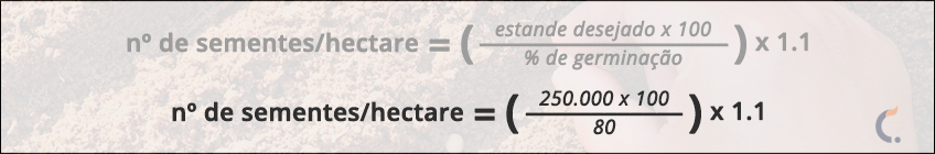 Cálculo da Semeadura por Hectare